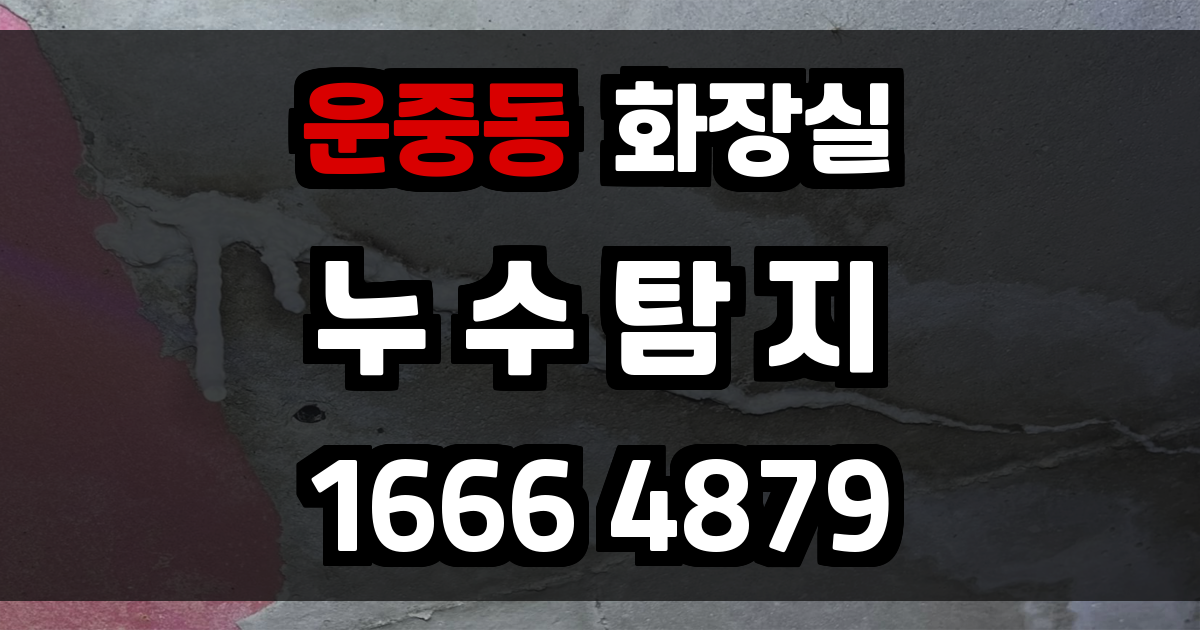 운중동 화장실 누수