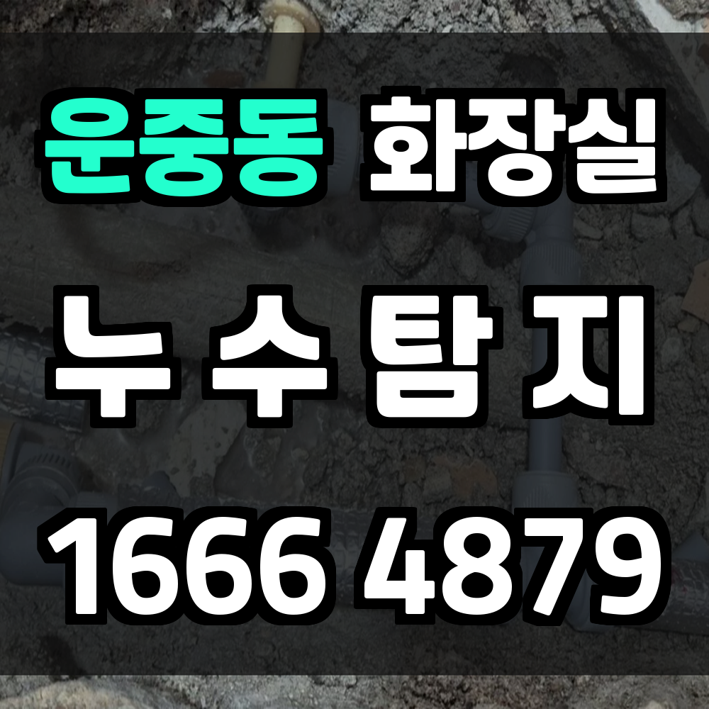 운중동 화장실 누수탐지 신축과 노후 주택 모두 정밀 점검 필수