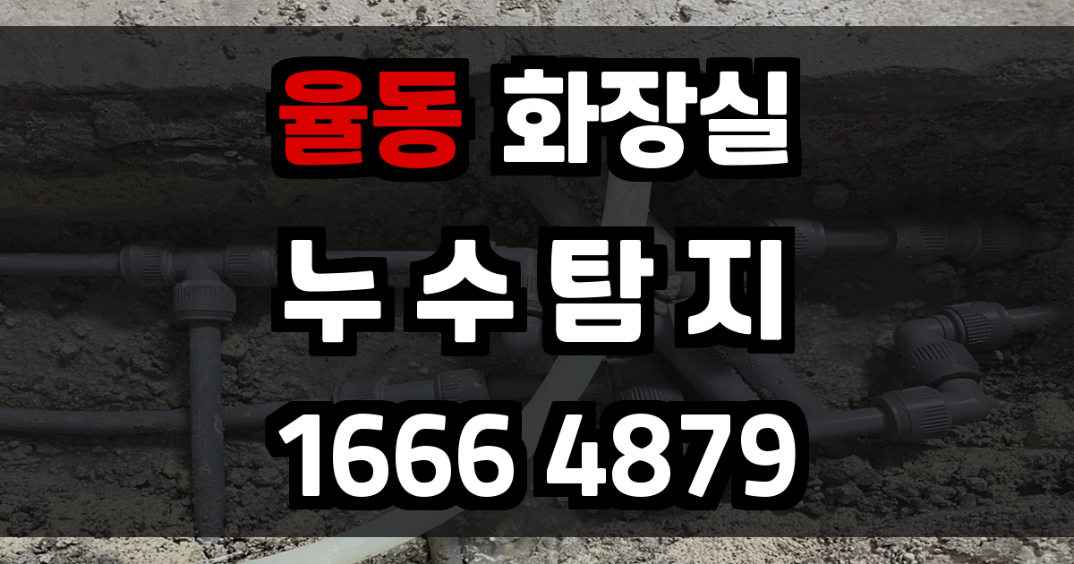 율동 화장실 누수