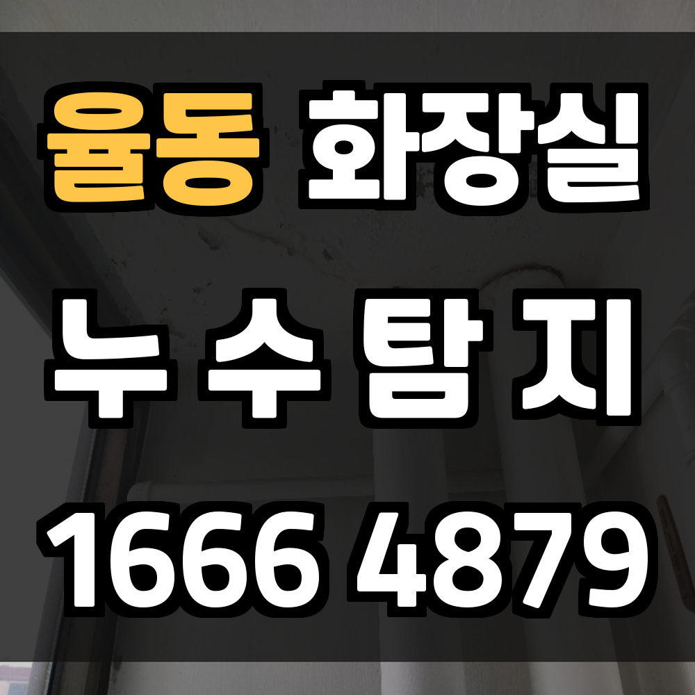율동 화장실 누수탐지 주택 보호의 첫 걸음은 정확한 진단