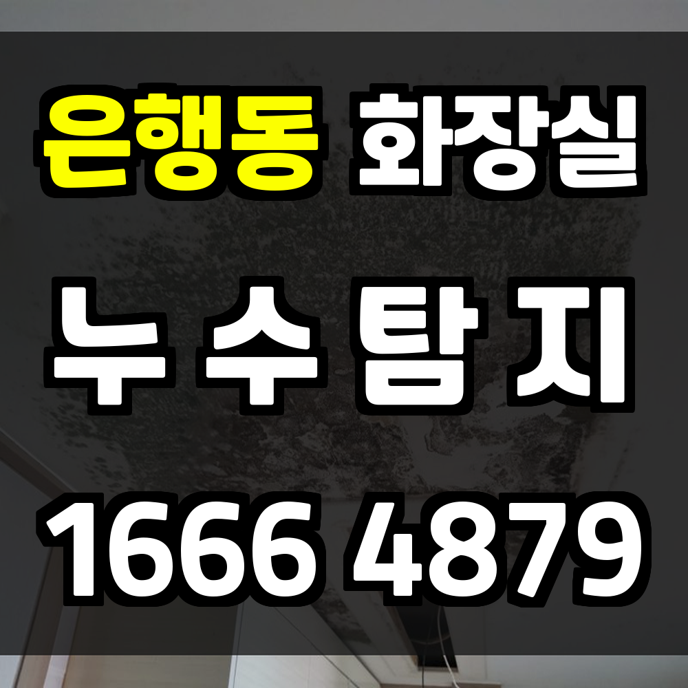 은행동 화장실 누수탐지 사소한 이상도 놓치지 않는 정밀 진단