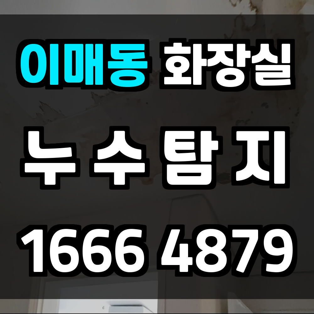 이매동 화장실 누수탐지 정확하고 빠른 조치가 최선의 방어