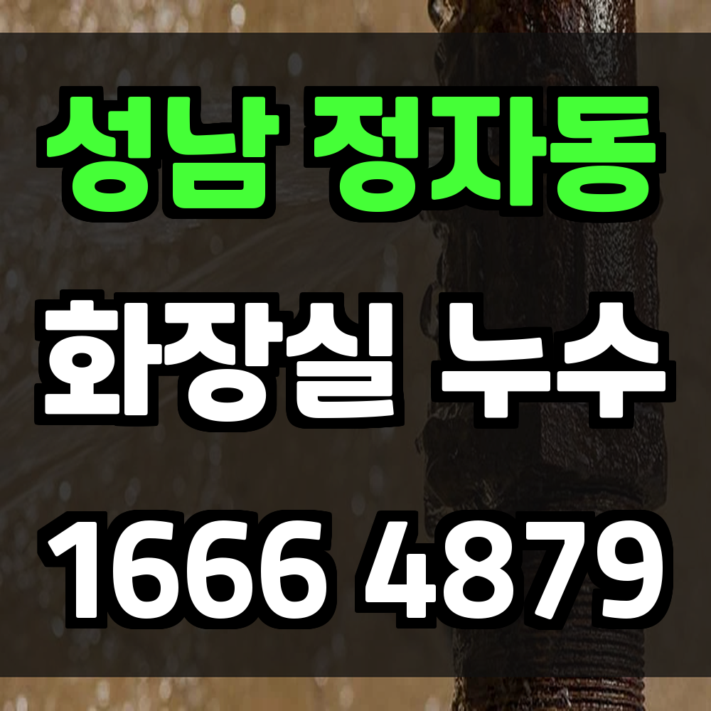 성남 정자동 화장실 누수탐지 정확한 진단으로 수리비 걱정 없는 생활