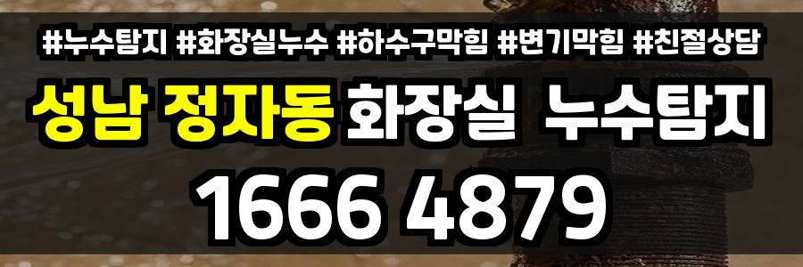 성남 정자동 화장실 누수