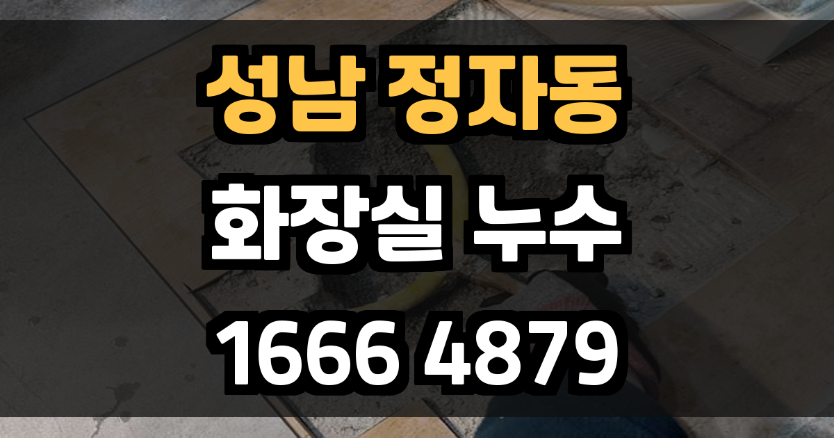 성남 정자동 화장실 누수