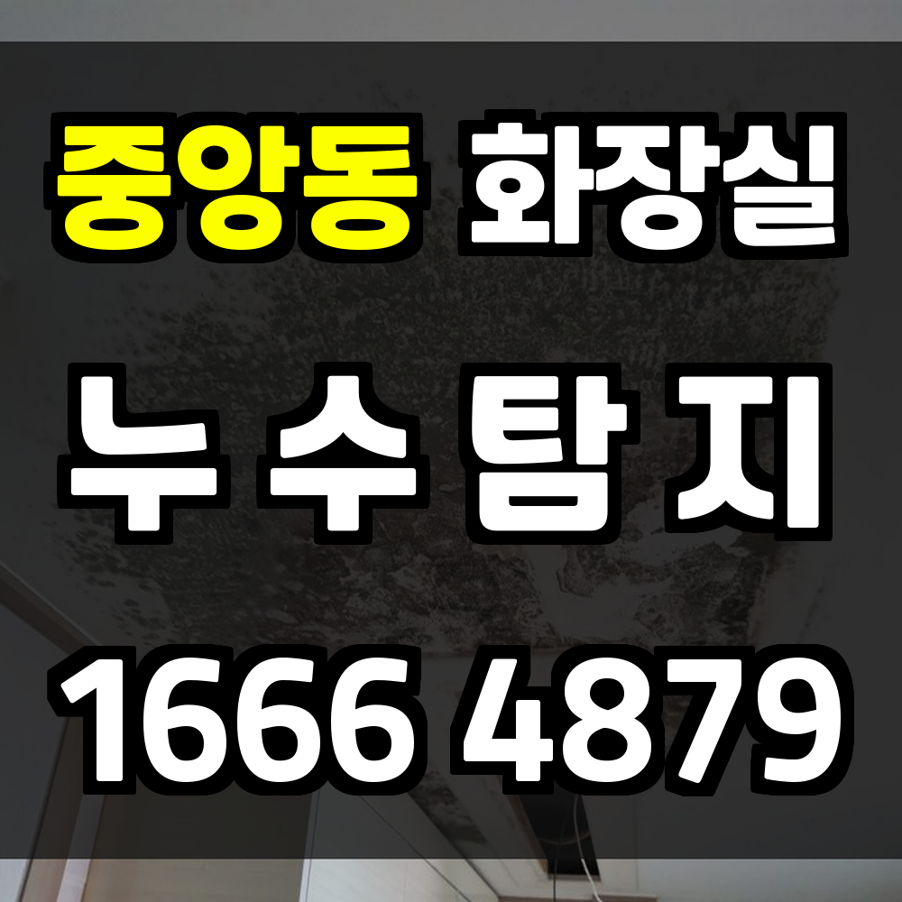 중앙동 화장실 누수탐지 작은 물기로 시작되는 큰 피해를 막습니다