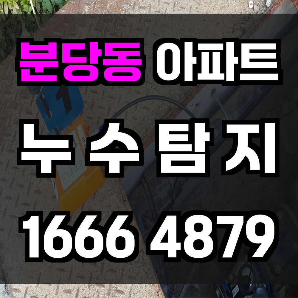 분당동 아파트 누수