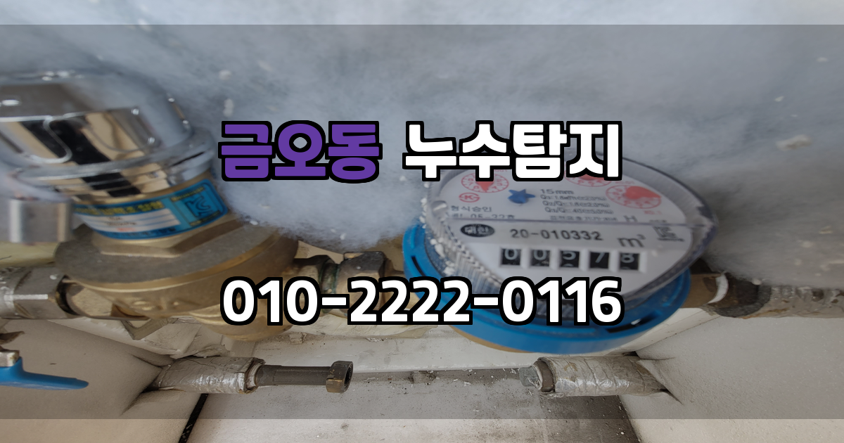 금오동 누수탐지