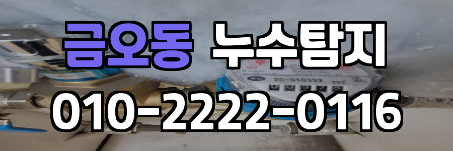 금오동 누수탐지 비용