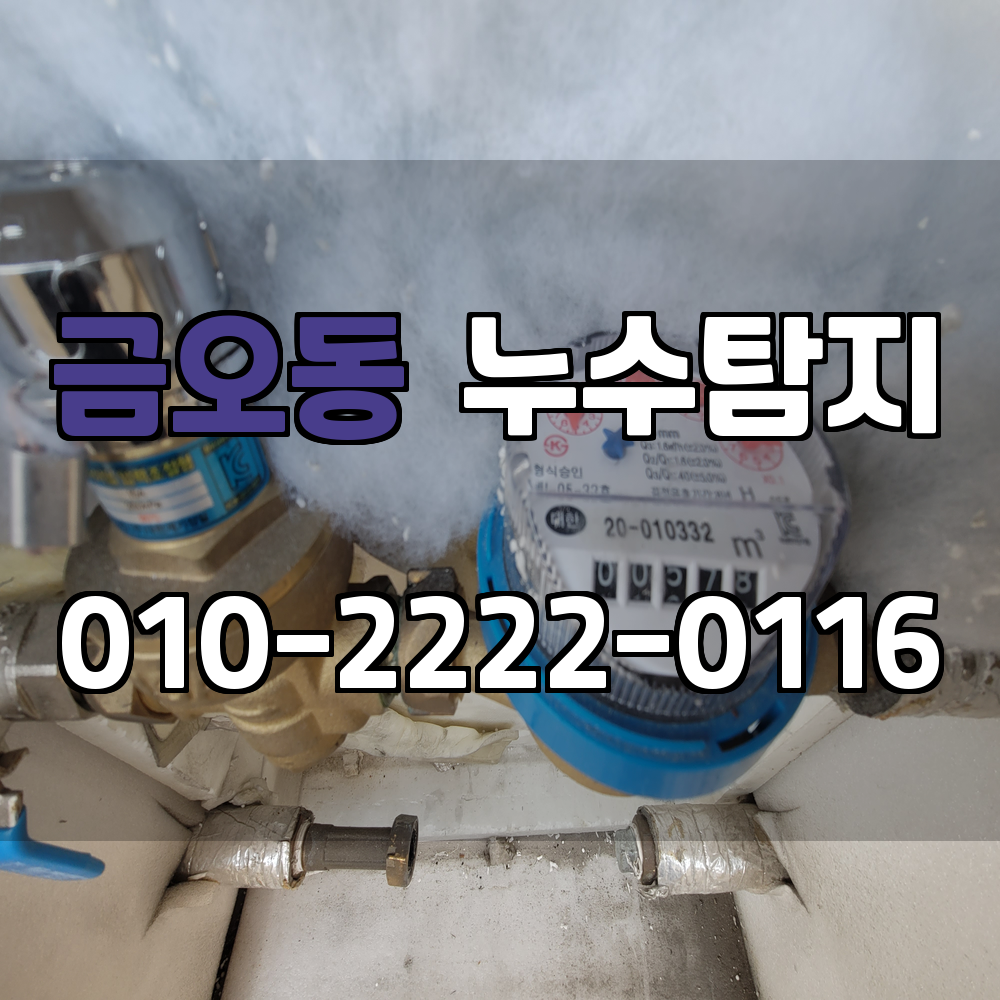 금오동 누수탐지 서비스 지역