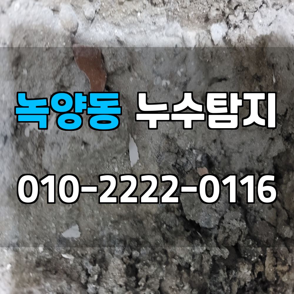 녹양동 누수탐지 서비스 지역