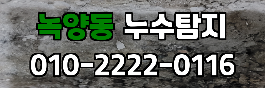 녹양동 누수탐지 비용