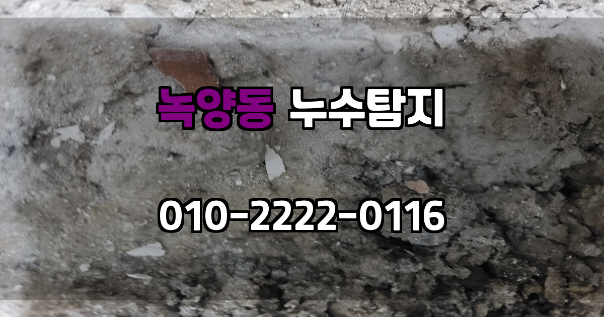 녹양동 누수탐지