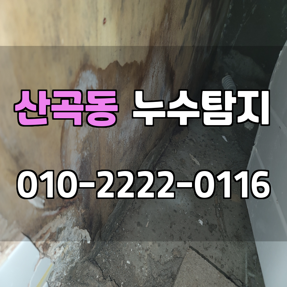 산곡동 누수탐지 서비스 지역