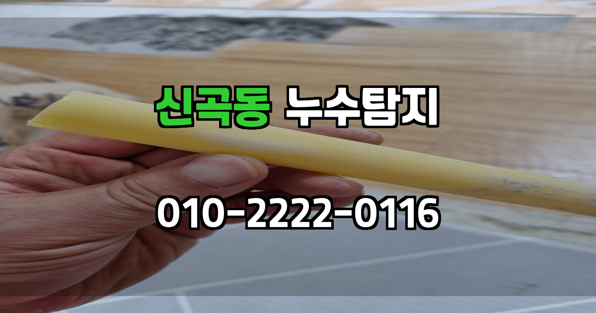 신곡동 누수탐지