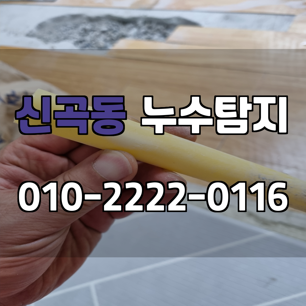 신곡동 누수탐지 서비스 지역