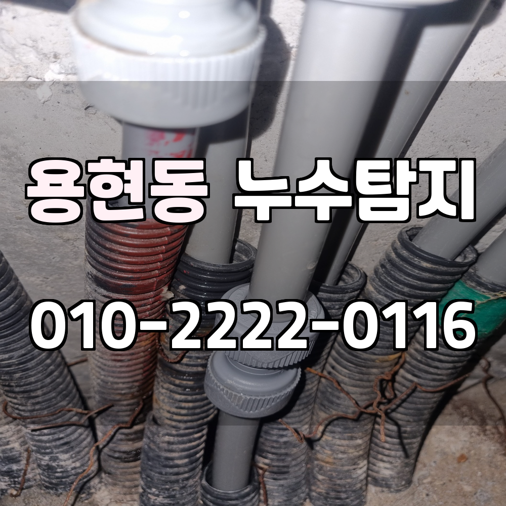 용현동 누수탐지 서비스 지역