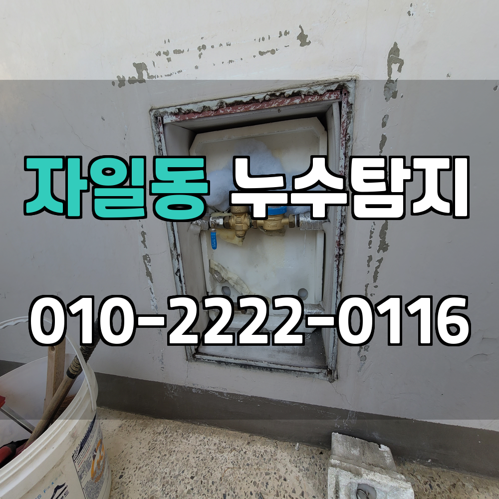 자일동 누수탐지 서비스 지역