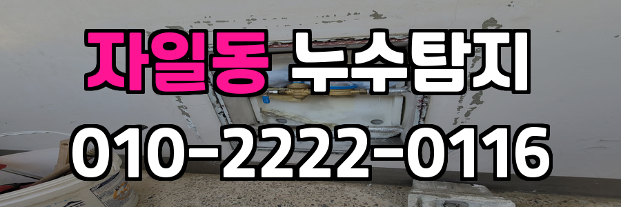자일동 누수탐지 비용