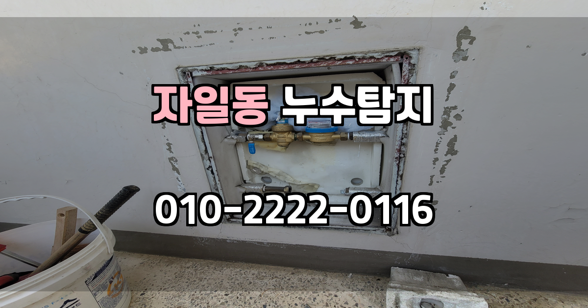 자일동 누수탐지