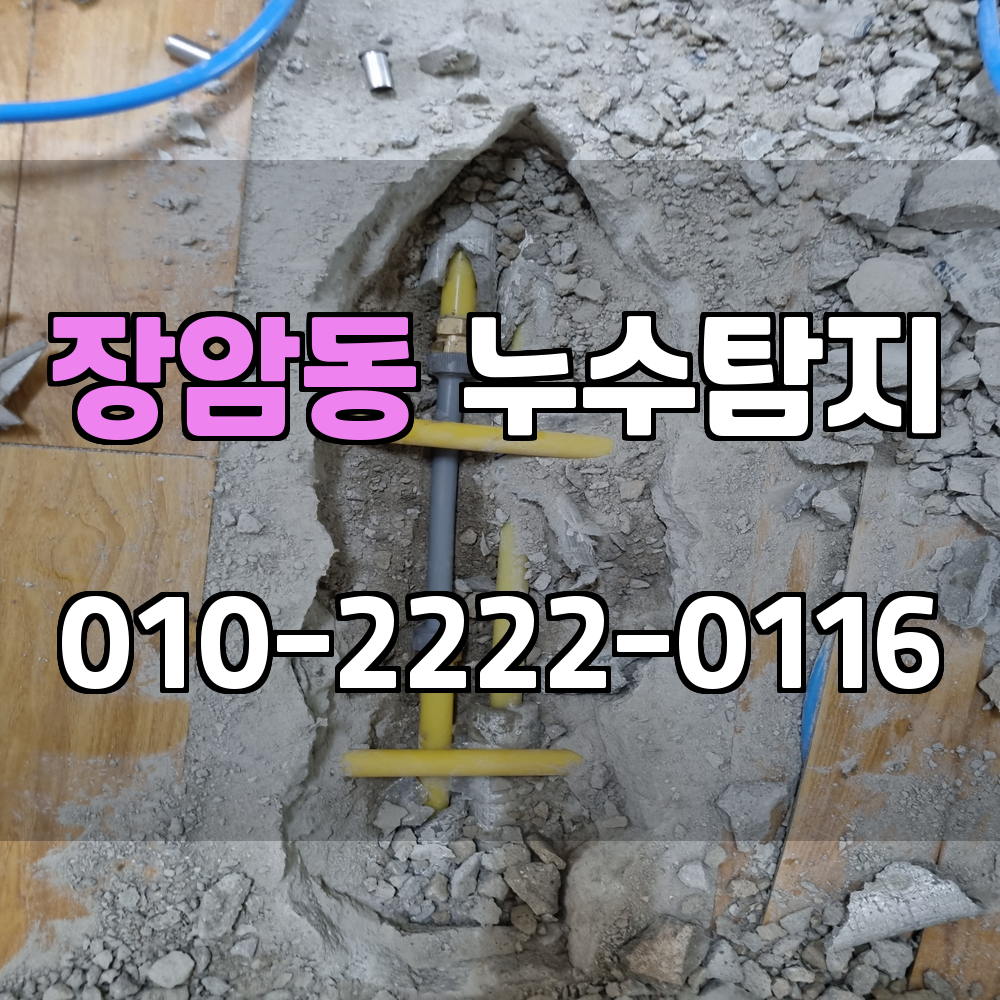 장암동 누수탐지 서비스 지역