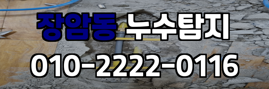 장암동 누수탐지 비용