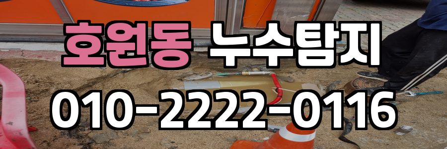 호원동 누수탐지 비용