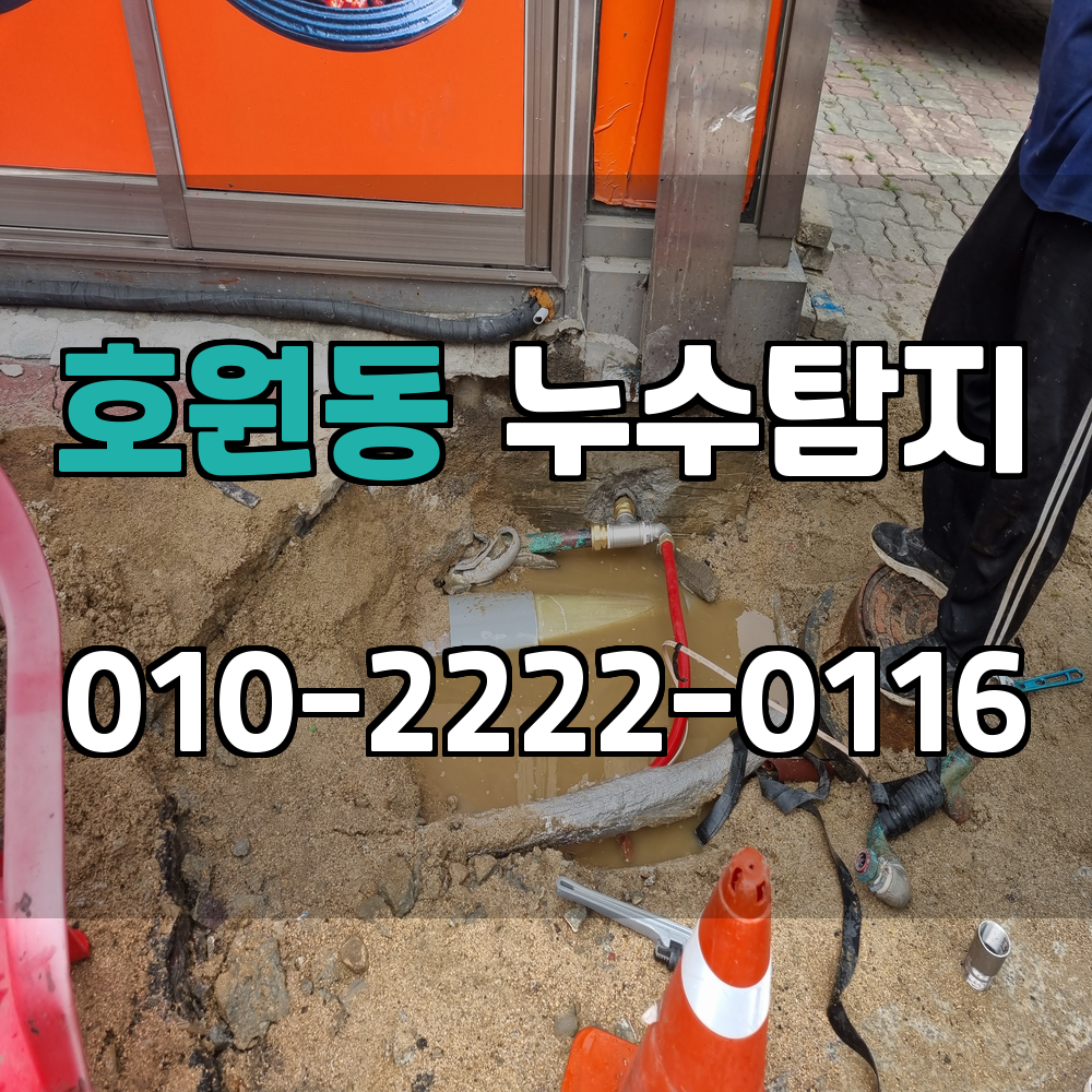 호원동 누수탐지 서비스 지역