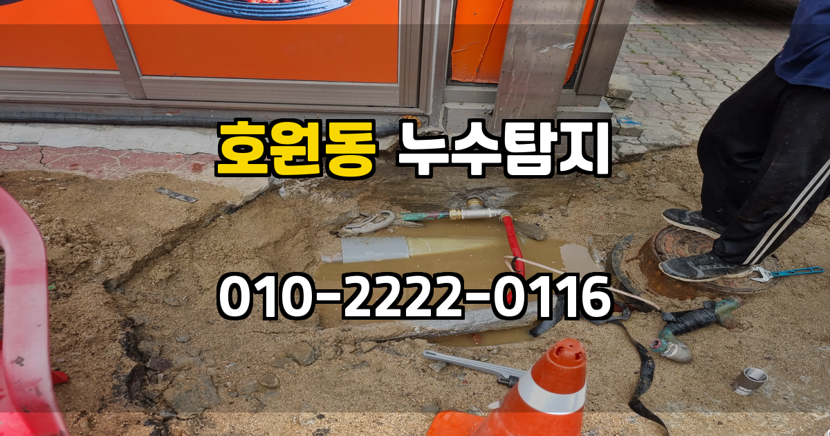 호원동 누수탐지