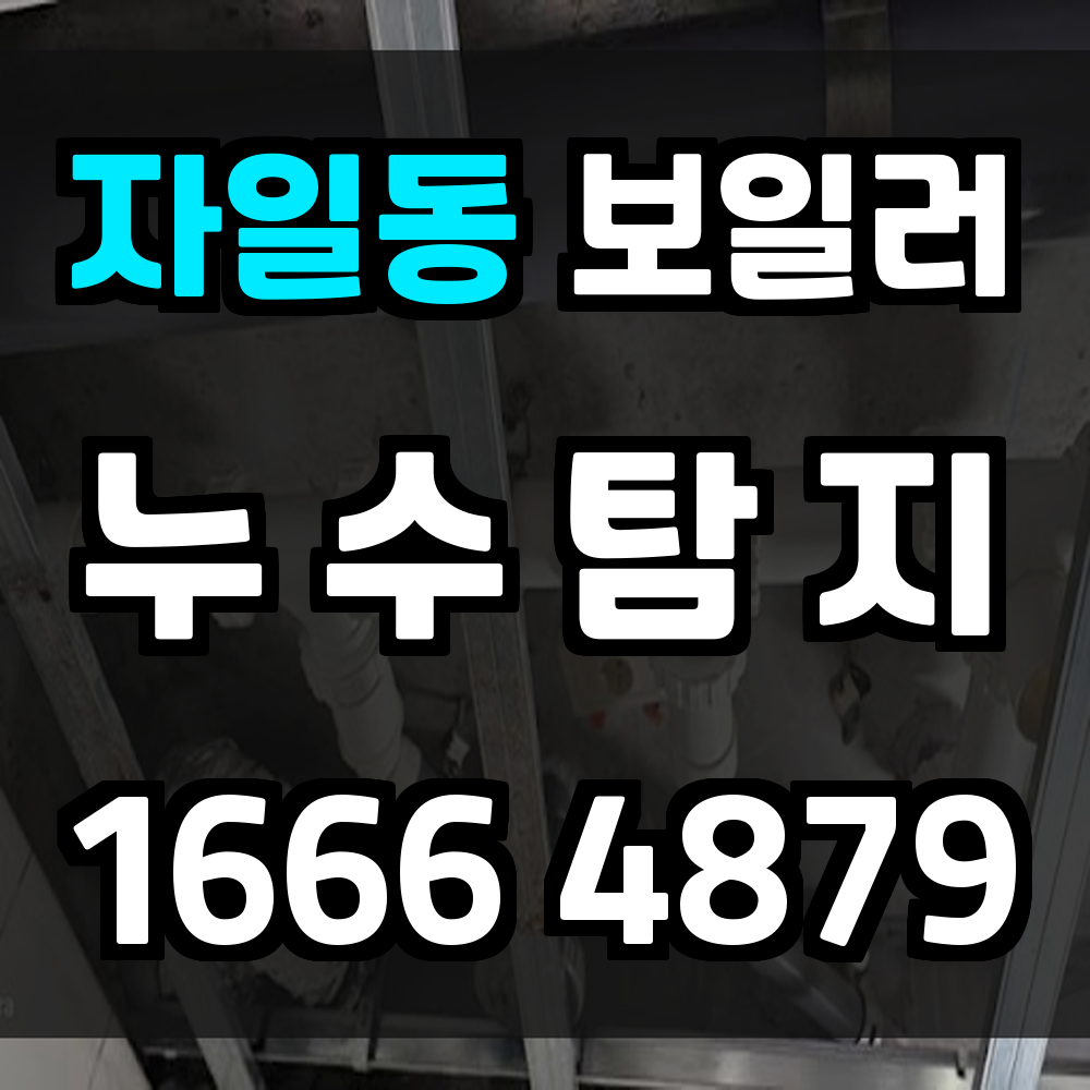 자일동 보일러 누수탐지 바닥 냉기와 곰팡이 문제 해결
