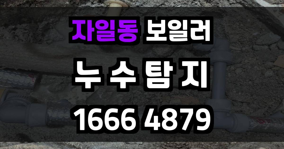 자일동 보일러 누수