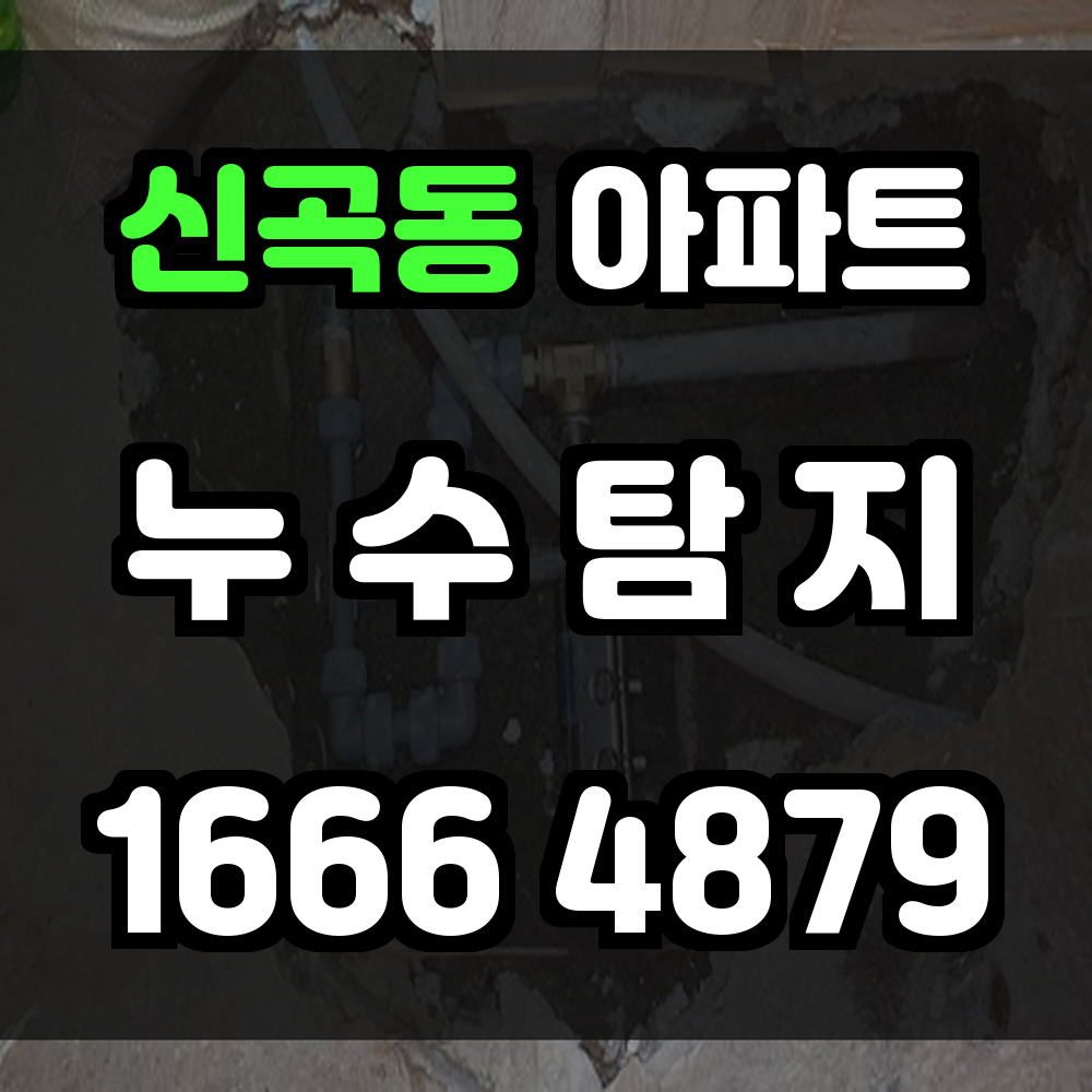 신곡동 아파트 누수탐지 정밀 장비로 빠르고 정확하게 누수 원인 진단