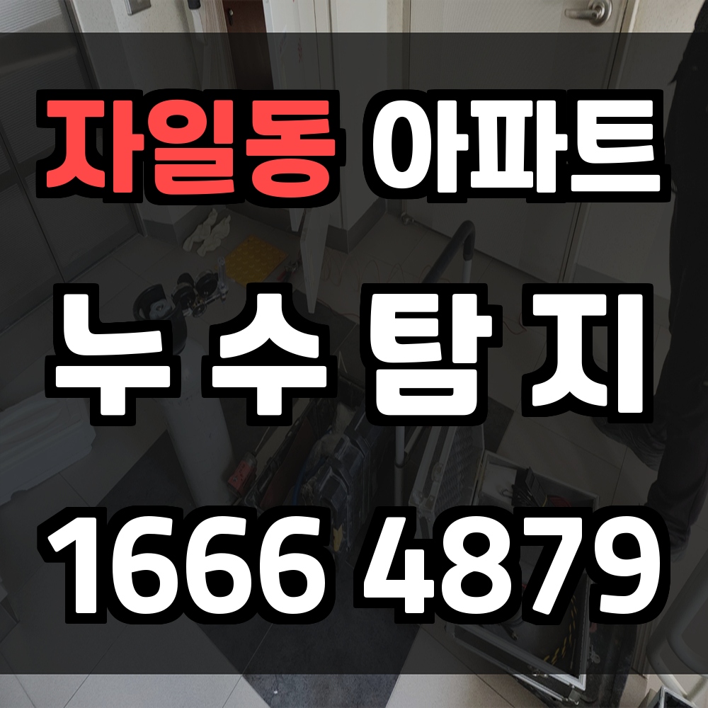 자일동 아파트 누수탐지 사전 점검으로 큰 피해 예방