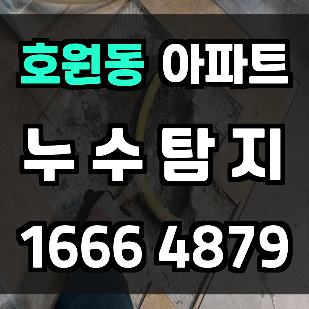 호원동 아파트 누수탐지 꼼꼼한 점검으로 사전 예방 실현