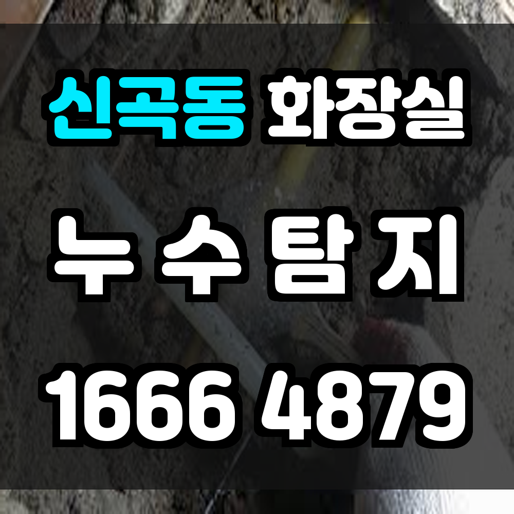 신곡동 화장실 누수탐지 정확한 장비 진단으로 구조물 손상 예방