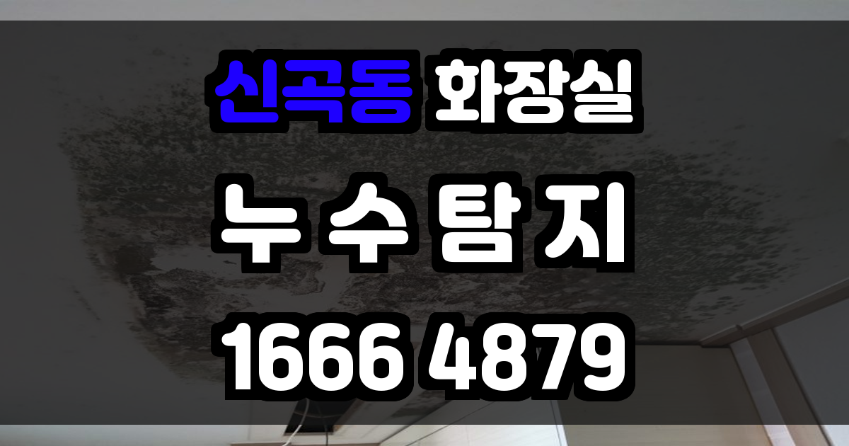 신곡동 화장실 누수