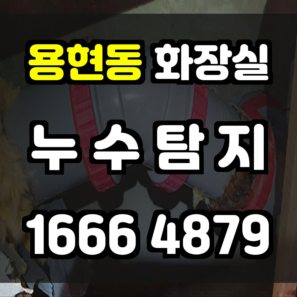 용현동 화장실 누수탐지 비파괴 방식으로 정확하고 빠르게 확인