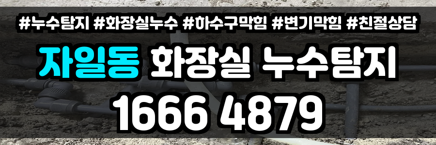 자일동 화장실 누수