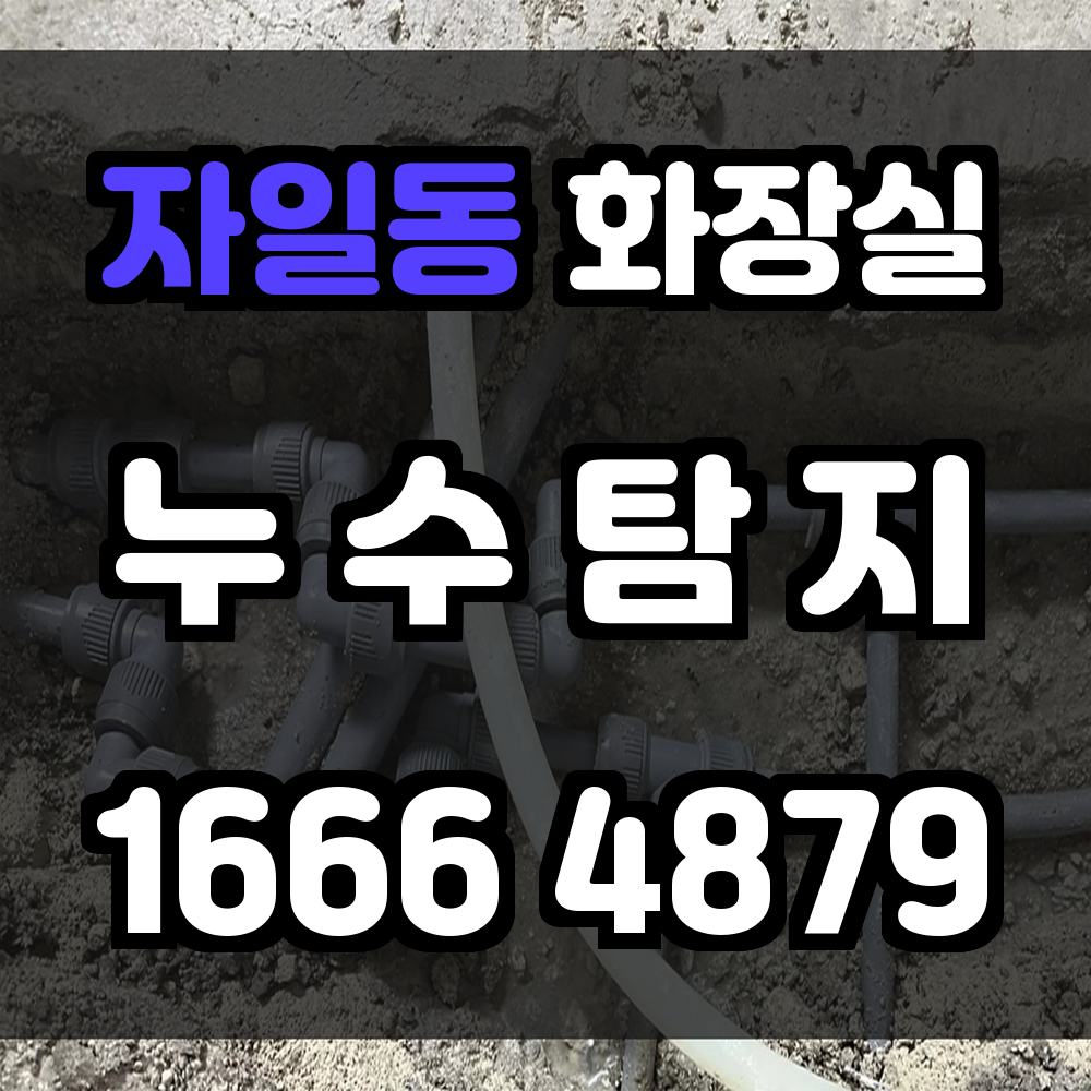 자일동 화장실 누수