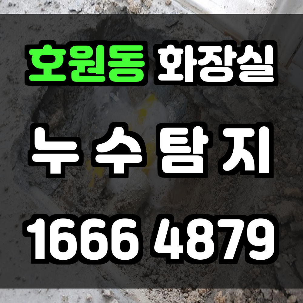 호원동 화장실 누수
