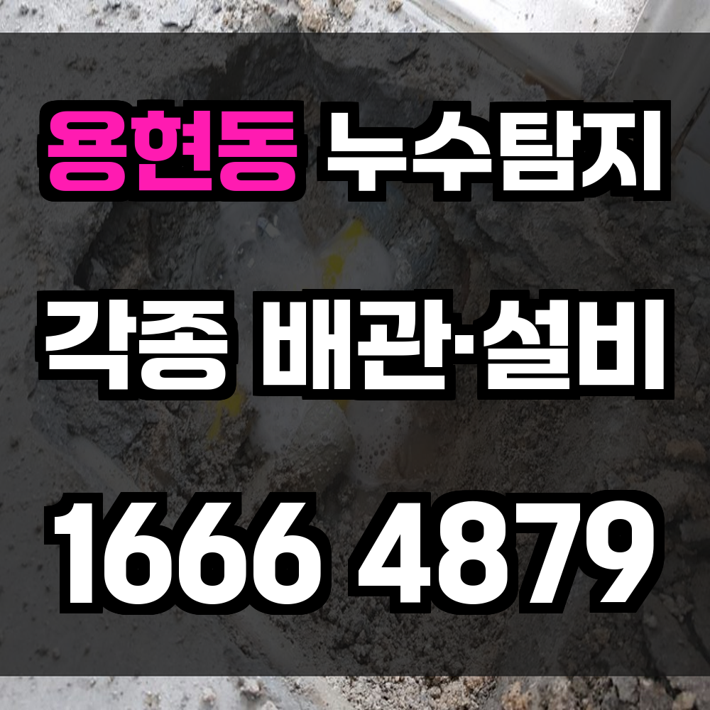 용현동 누수탐지