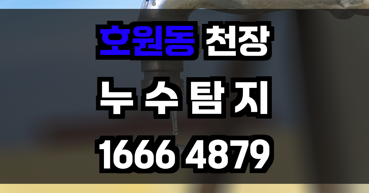 호원동 천장 누수