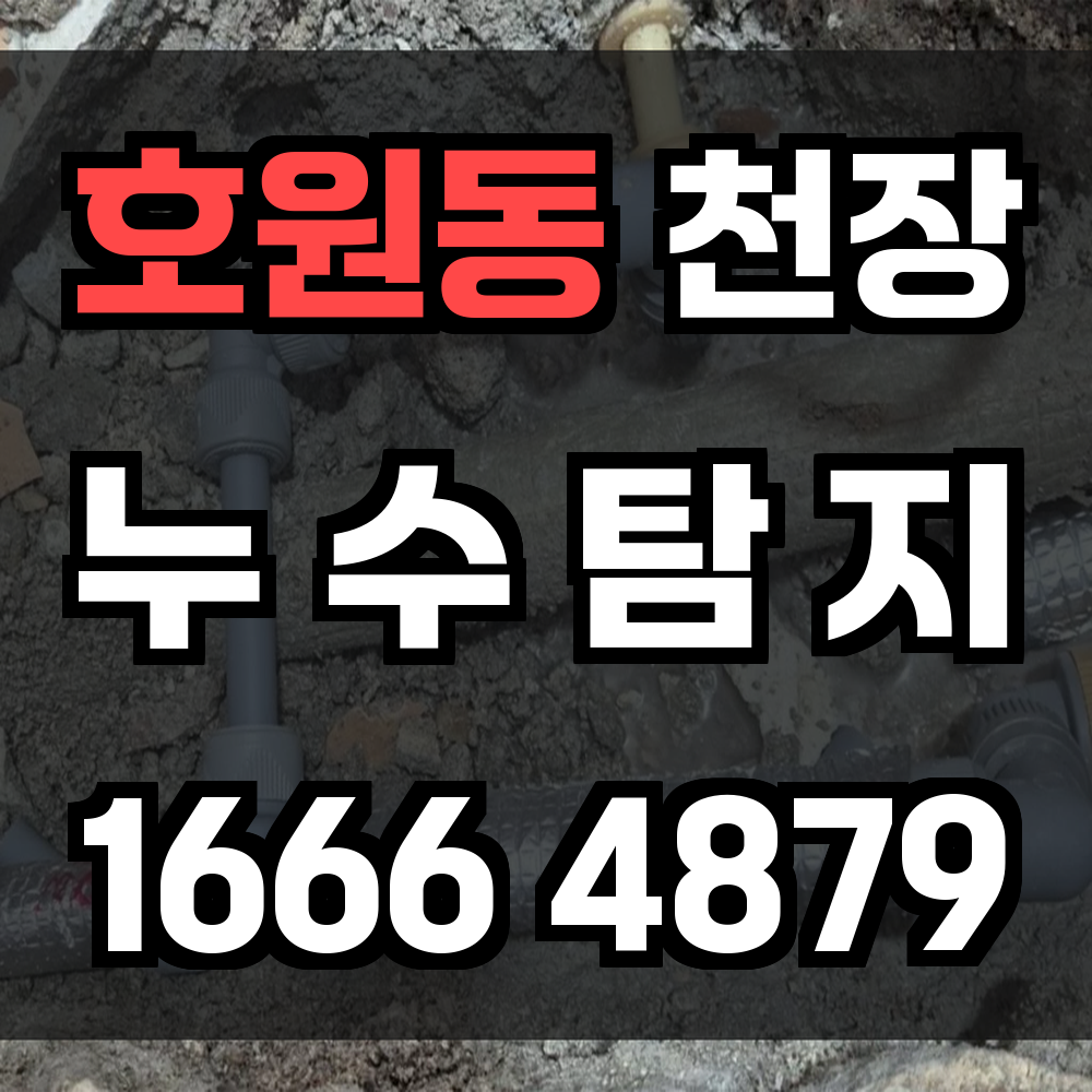 호원동 천장 누수