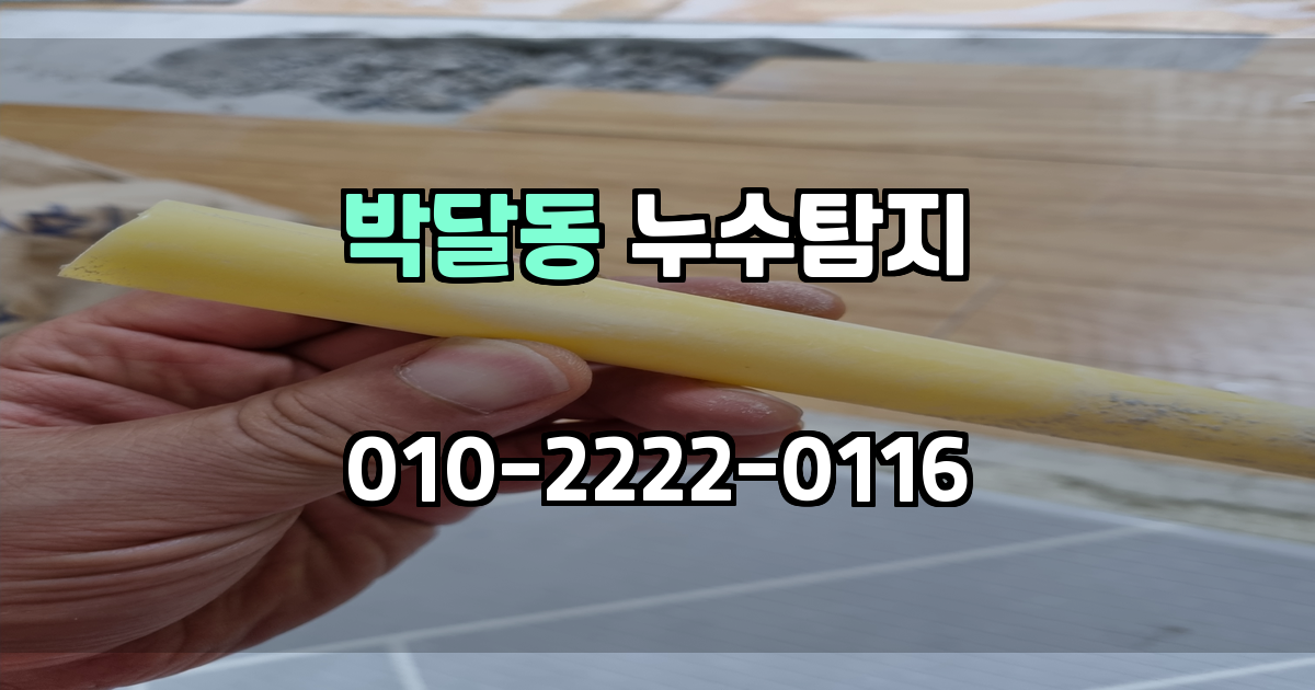 박달동 누수탐지