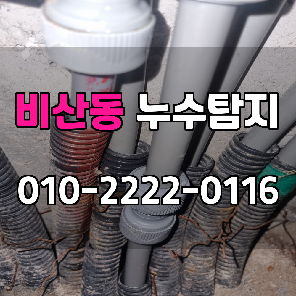 비산동 누수탐지 서비스 지역