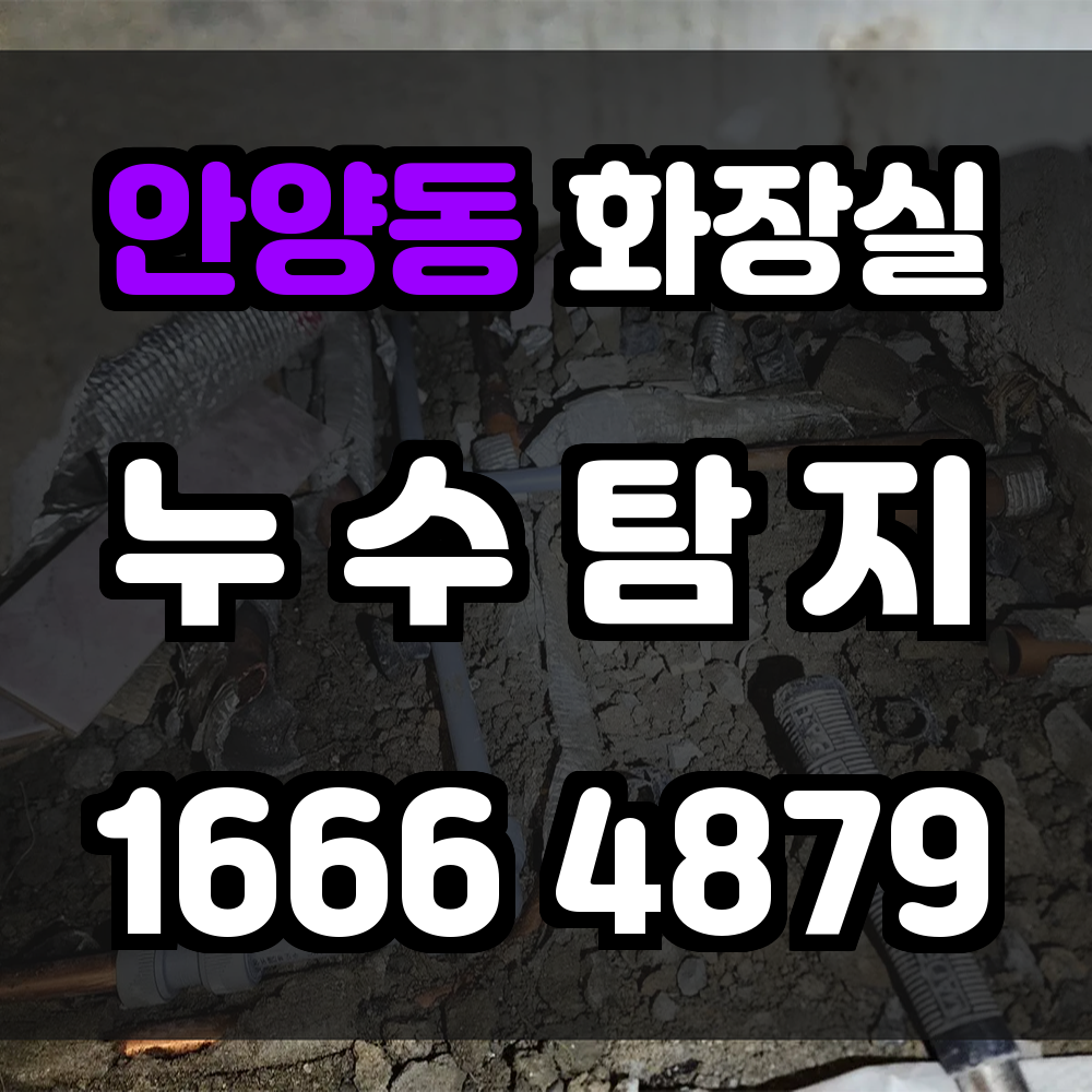 안양동 화장실 누수