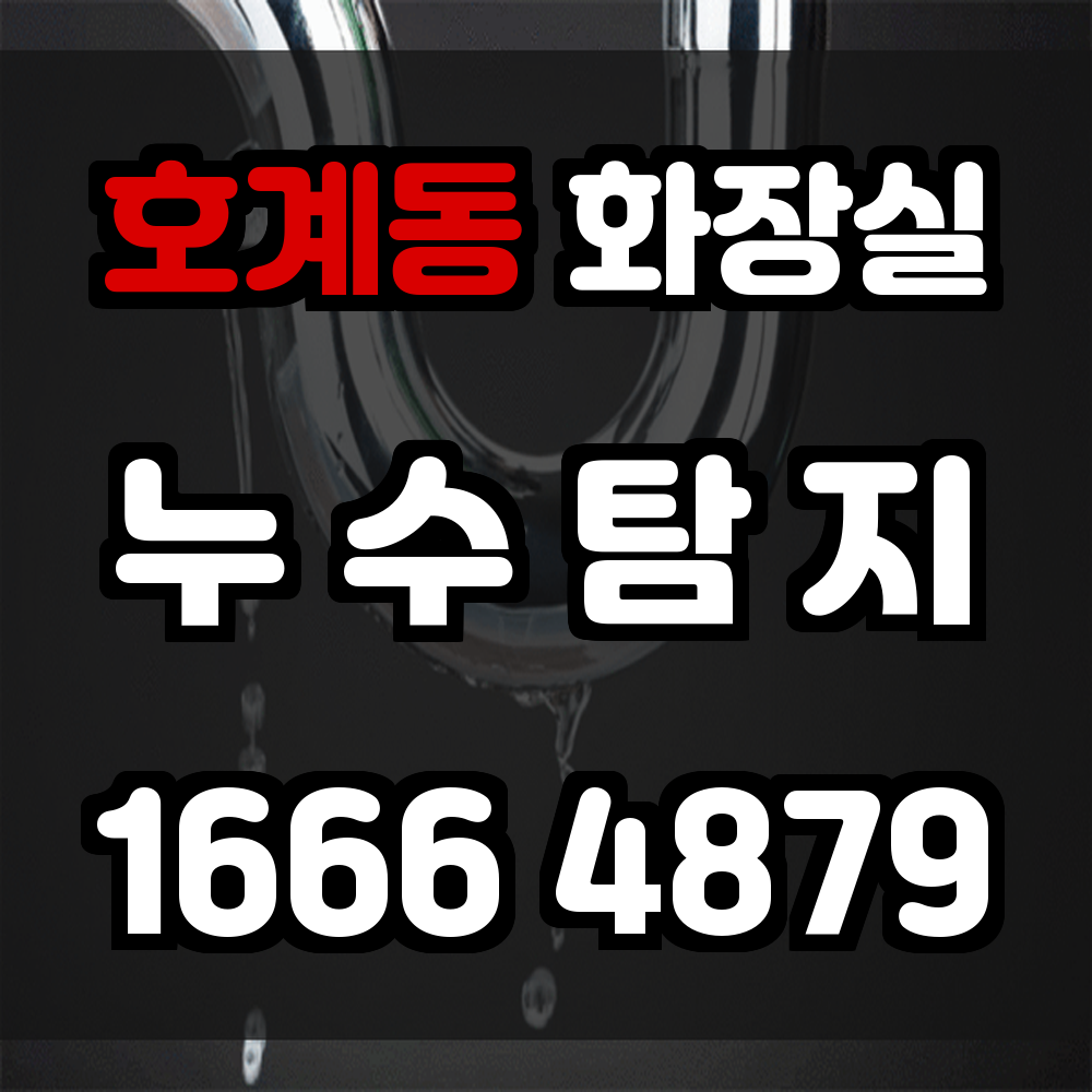 호계동 화장실 누수탐지 곰팡이와 악취를 막는 정밀 진단 서비스