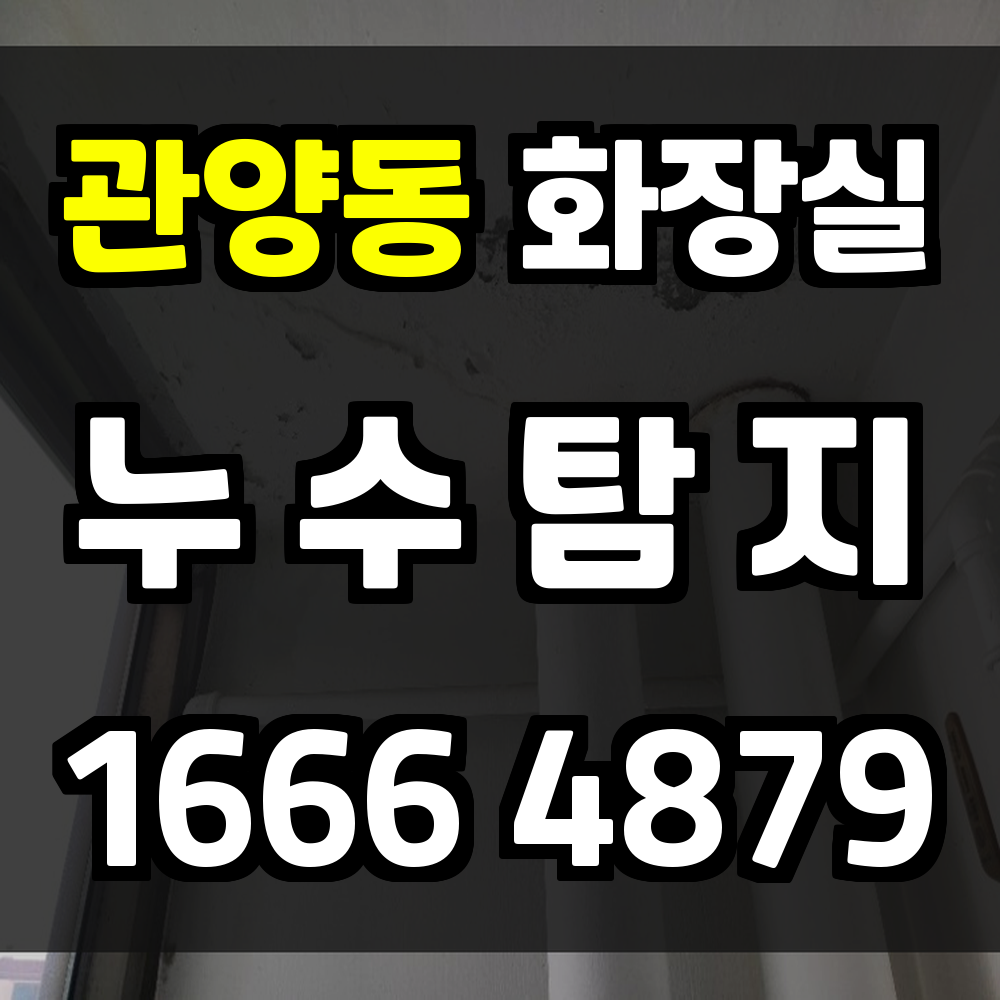 관양동 화장실 누수탐지 깔끔한 진단으로 피해 예방