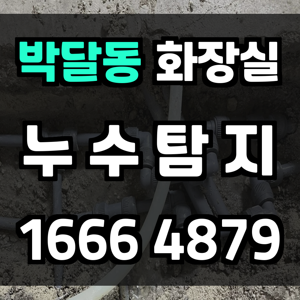 박달동 화장실 누수탐지 주거 안전을 지키는 최선의 선택