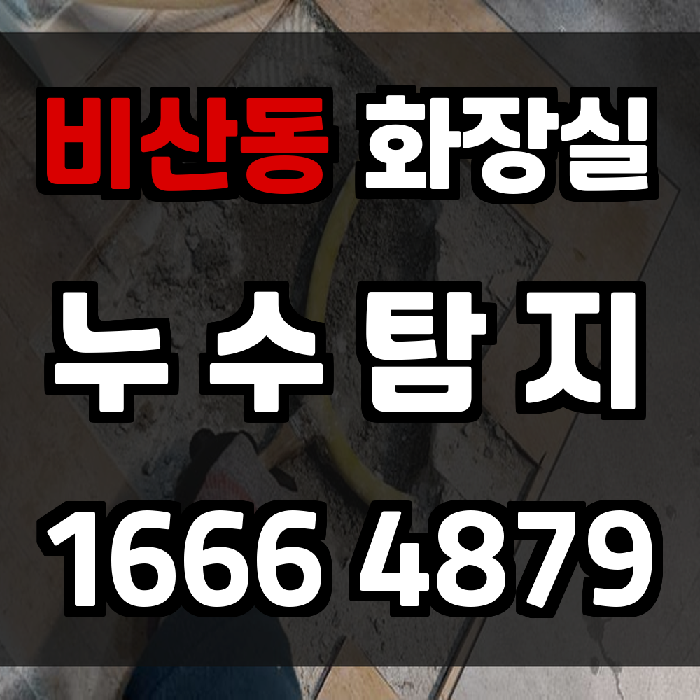 비산동 화장실 누수탐지 조용한 침투를 빠르게 차단